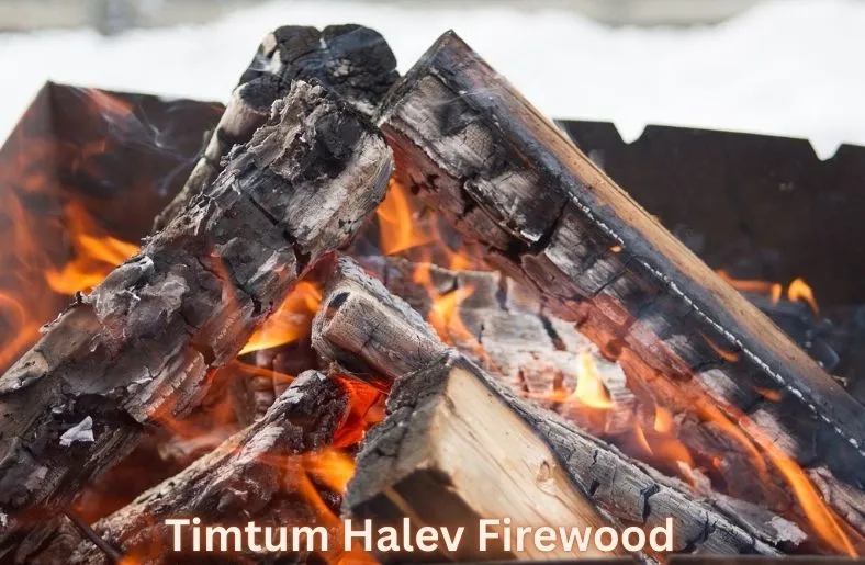 Timtum Halev Firewood: Reignite Your Inner Spark